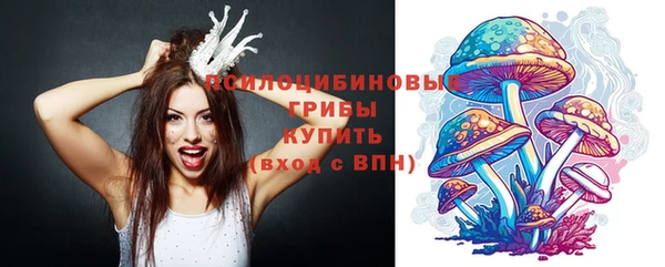 мяу мяу кристалл Бородино