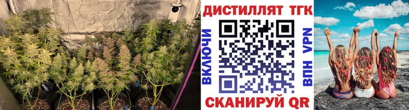 ТГК гашишное масло  Купить где  Узловая 