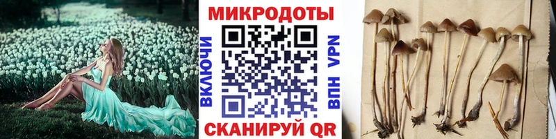 Купить где  Узловая  Псилоцибиновые грибы Cubensis 